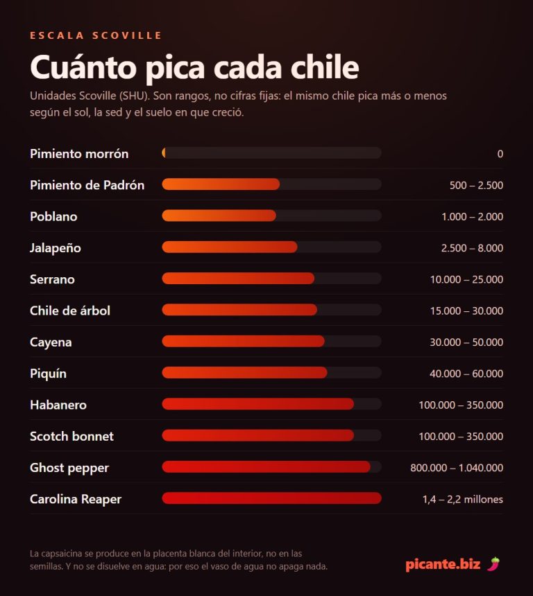 Escala Scoville: cuanto pica cada chile en unidades SHU