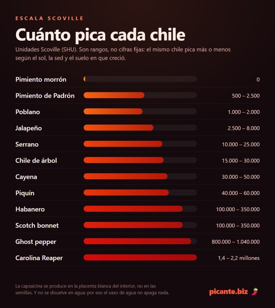 Escala Scoville: cuanto pica cada chile en unidades SHU